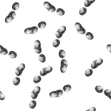 Seamless pattern soya bean food seed sketch hand drawn Stock Illustration