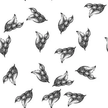 Seamless pattern soya bean food green sketch hand drawn 스톡 일러스트