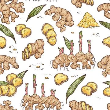 Seamless pattern with spice ginger root, pieces, dried condiment and leaves. Stock Illustration