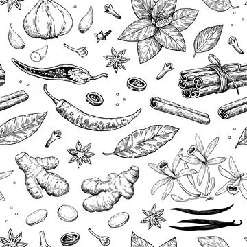 Seamless pattern with spices and aromatic plants. Hand-drawn detailed vecto.. 스톡 일러스트