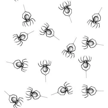 Seamless pattern spider sketch hand drawn Stock Illustration