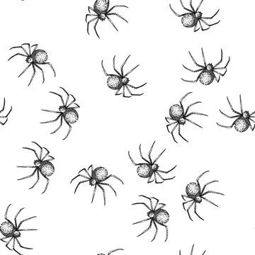 Seamless pattern spider sketch hand drawn イラスト素材