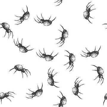 Seamless pattern spider spider sketch hand drawn Stock Illustration