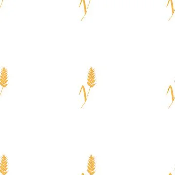 Seamless pattern with spikelets and grains of wheat on white background. Vector 스톡 일러스트