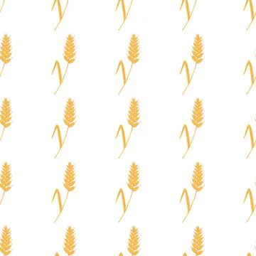 Seamless pattern with spikelets and grains of wheat on white background. Vector 스톡 일러스트