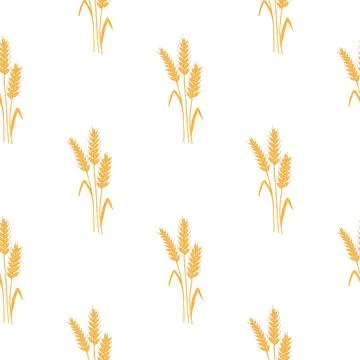 Seamless pattern with spikelets and grains of wheat on white background. Vector Stock Illustration