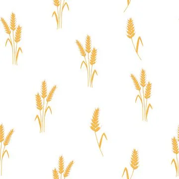 Seamless pattern with spikelets and grains of wheat on white background. Vector Stock Illustration