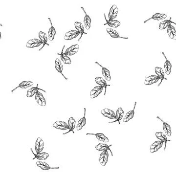 Seamless pattern spinach leaf green sketch hand drawn Stock Illustration