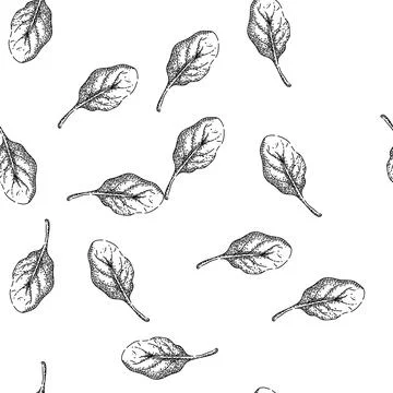 Seamless pattern spinach leaf green sketch hand drawn Illustrazione stock