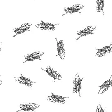 Seamless pattern spinach leaf green sketch hand drawn Stock Illustration