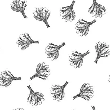Seamless pattern spinach leaf green sketch hand drawn 스톡 일러스트