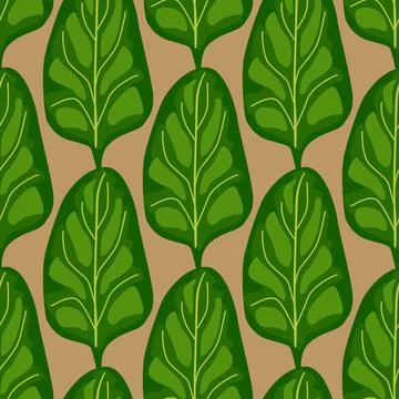 Seamless pattern Spinach salad on brown background. Modern ornament with lett Stock Illustration