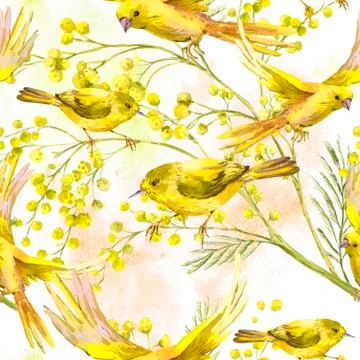 Seamless Pattern with Sprig of Mimosa, Yellow Bird Stock Illustration
