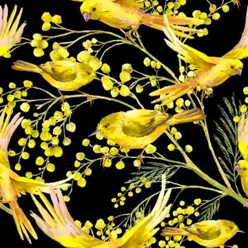 Seamless Pattern with Sprig of Mimosa, Yellow Bird Stock Illustration