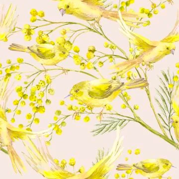 Seamless Pattern with Sprig of Mimosa, Yellow Bird Stock Illustration