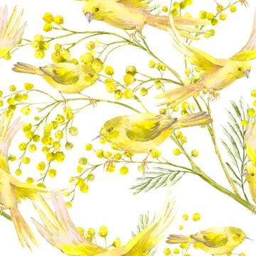 Seamless Pattern with Sprig of Mimosa, Yellow Bird Stock Illustration