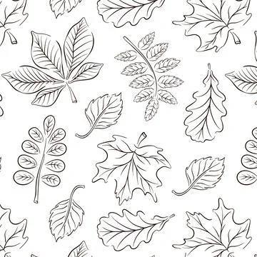 Seamless pattern with spring, autumn leaves in line art style. Great for Stock Illustration