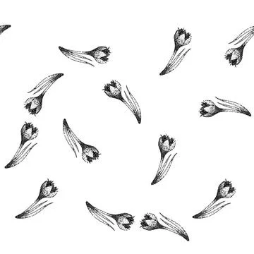 Seamless pattern spring crocus sketch hand drawn Stock Illustration