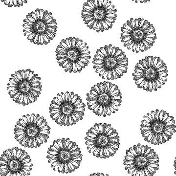 Seamless pattern spring daisy flower sketch hand drawn Stock Illustration