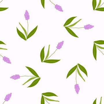 Seamless pattern of spring flowers and plants. Stock-Illustration