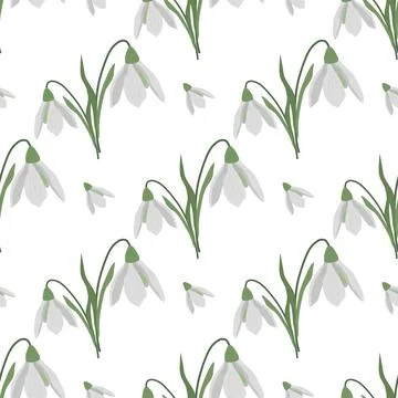 Seamless pattern with spring flowers and snowdrops Stock Illustration
