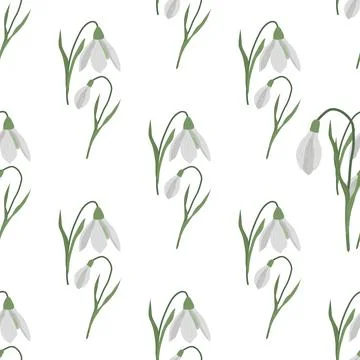 Seamless pattern with spring flowers and snowdrops Stock Illustration