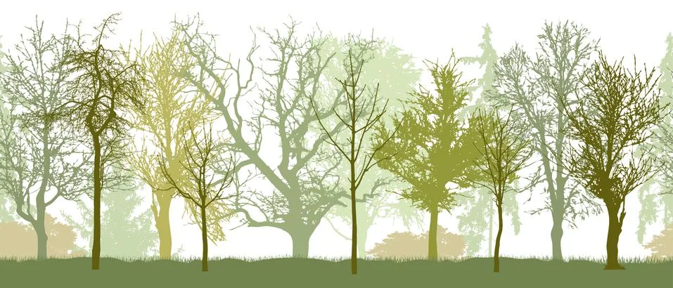 Seamless pattern of spring park (or garden, or forest) silhouette. Bare trees Ilustración de archivo