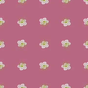 Seamless pattern spring plants on dark pink background. Vector floral templat Illustrazione stock