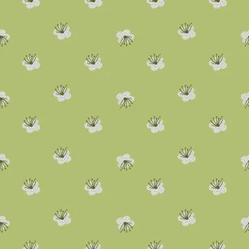 Seamless pattern spring plants on pastel green background. Vector floral temp Stock Illustration