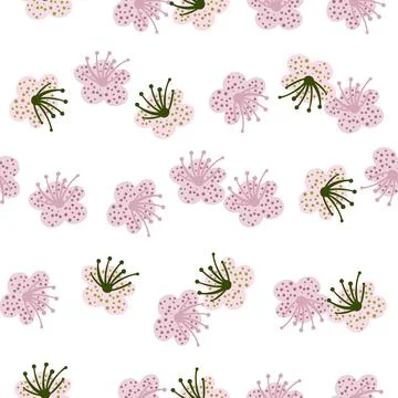 Seamless pattern spring plants on white background. Vector floral template in 스톡 일러스트