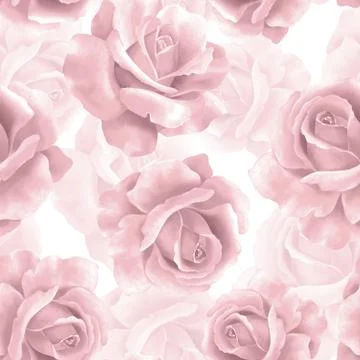Seamless pattern with spring roses Stock-Illustration