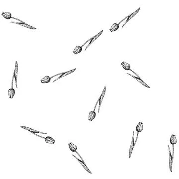 Seamless pattern spring tulip sketch hand drawn 스톡 일러스트