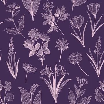 Seamless pattern with spring wildflowers. Hand-drawn detailed vector illust.. Illustrazione stock