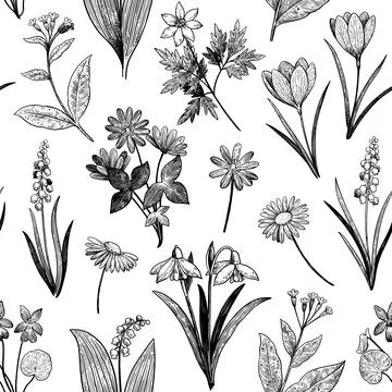 Seamless pattern with spring wildflowers. Hand-drawn detailed vector illust.. Illustrazione stock