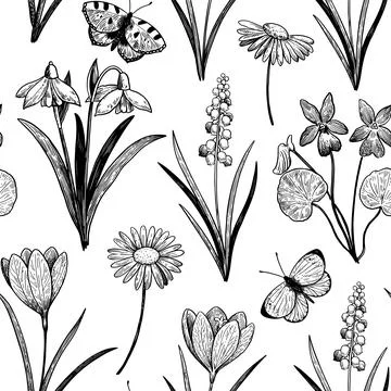 Seamless pattern with spring wildflowers. Hand-drawn detailed vector illust.. Stock Illustration