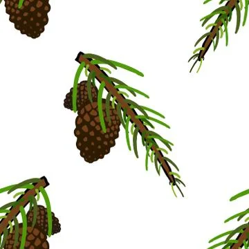 Seamless pattern from a spruce branch with cones. Vector illustration of a se Stock Illustration