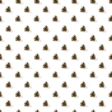 Seamless pattern, spruce bumps in a symmetrical layout on a white background Stock Photos