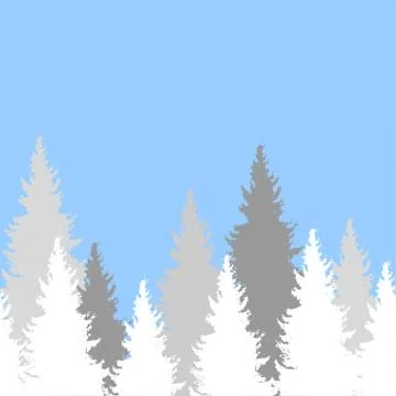Seamless pattern with spruce trees. Endless background. Design elements for w Stock Illustration