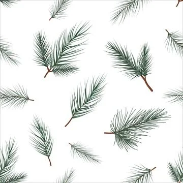 Seamless Pattern of Spruce Twigs on White Background - Vector Illustration Stock Illustration