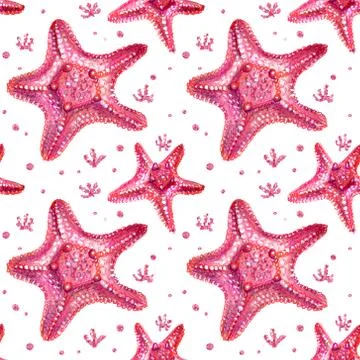 Seamless pattern with starfish and algae. Stock Illustration