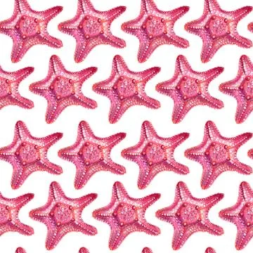 Seamless pattern with starfish. Stock Illustration