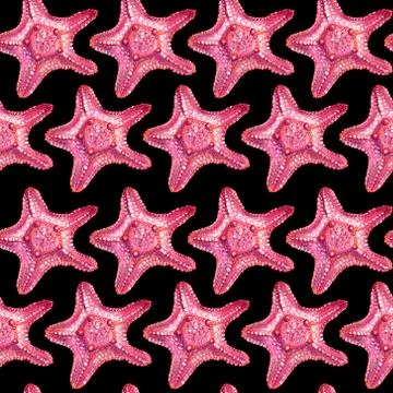 Seamless pattern with starfish. Stock Illustration
