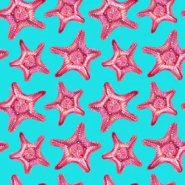 Seamless pattern with starfish. Stock Illustration