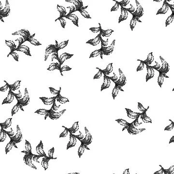 Seamless pattern stevia leaf green sketch hand drawn Illustrazione stock