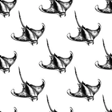 Seamless pattern Stingray Hand-drawn realistic. Oceans nature in vintage styl Stock Illustration