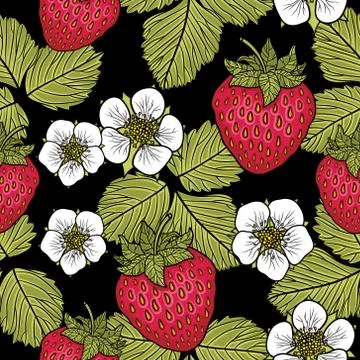 Seamless pattern with strawberries. Graphic stylized drawing. Stock Illustration