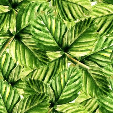 Seamless pattern with strawberry leaves Stock Illustration