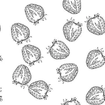 Seamless pattern strawberry sketch hand drawn イラスト素材