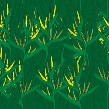 Seamless pattern with strelitzia flowers leaf sketch, yellow green background Stock Illustration