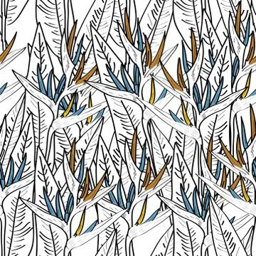 Seamless pattern with strelitzia flowers leaf sketch, blue orange black conto Illustrazione stock